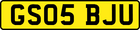 GS05BJU
