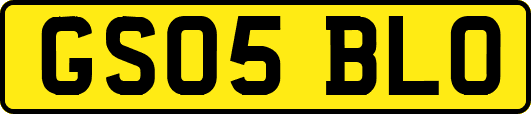 GS05BLO