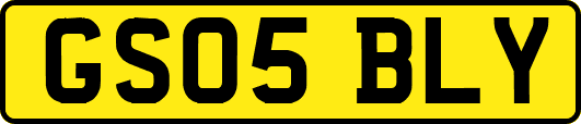 GS05BLY