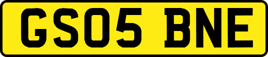 GS05BNE