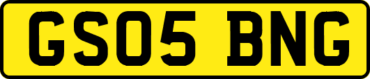 GS05BNG