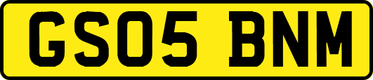 GS05BNM