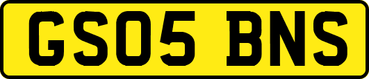 GS05BNS