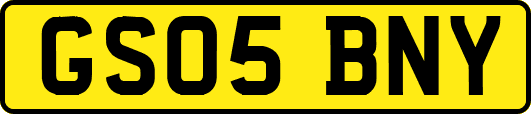GS05BNY
