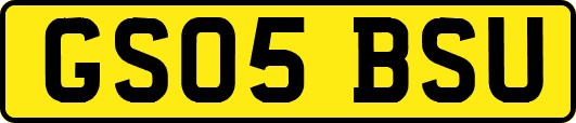 GS05BSU
