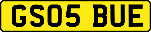GS05BUE