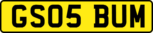 GS05BUM