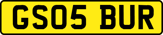 GS05BUR