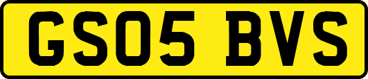 GS05BVS