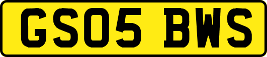 GS05BWS