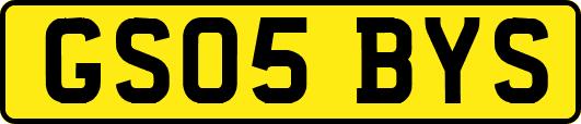 GS05BYS