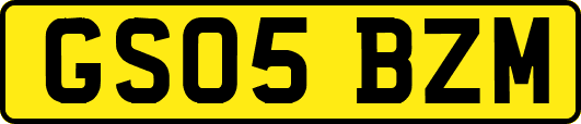GS05BZM