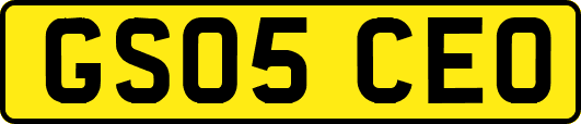 GS05CEO