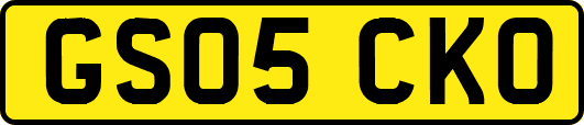 GS05CKO
