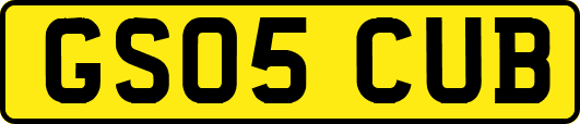 GS05CUB