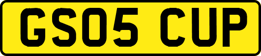 GS05CUP