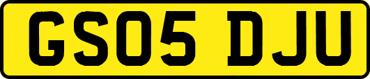 GS05DJU