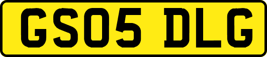 GS05DLG