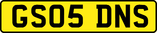 GS05DNS