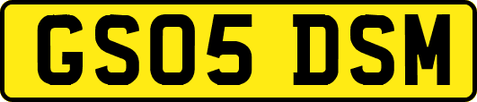 GS05DSM
