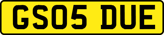 GS05DUE