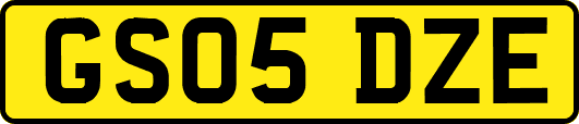 GS05DZE