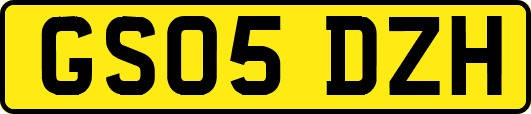 GS05DZH