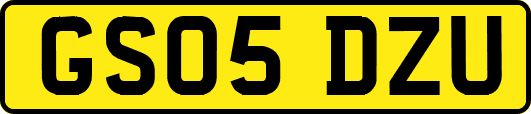 GS05DZU