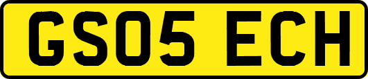 GS05ECH