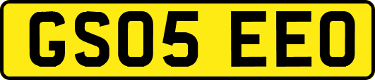 GS05EEO