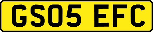 GS05EFC