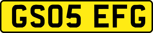 GS05EFG