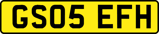 GS05EFH
