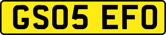 GS05EFO
