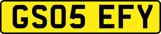 GS05EFY