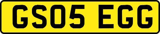 GS05EGG