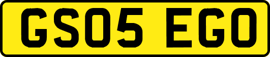 GS05EGO