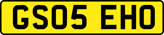 GS05EHO