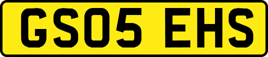 GS05EHS