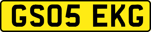 GS05EKG