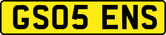 GS05ENS