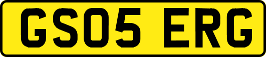 GS05ERG
