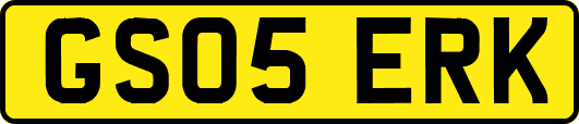 GS05ERK