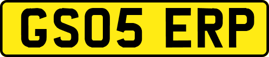 GS05ERP