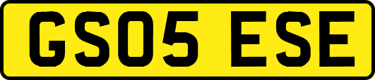 GS05ESE