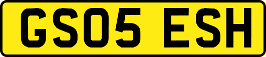 GS05ESH