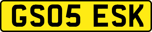 GS05ESK