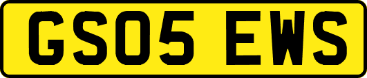 GS05EWS