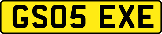 GS05EXE