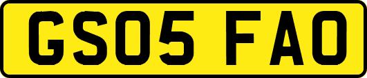 GS05FAO